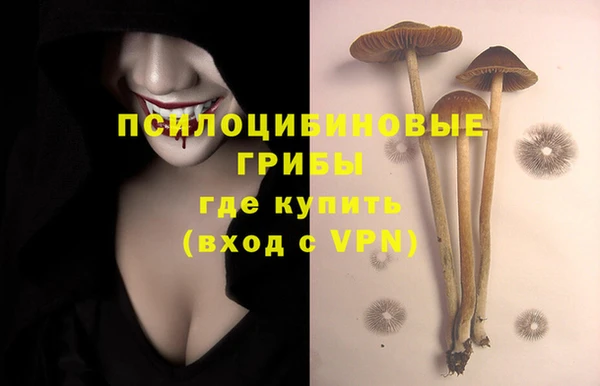 амф Дмитровск